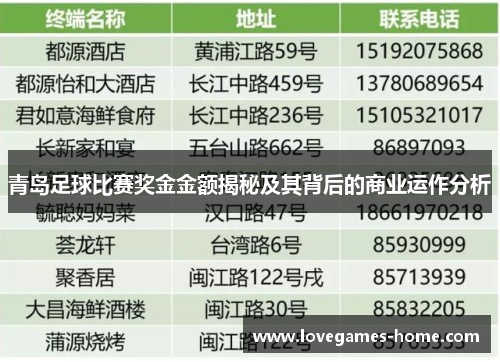 青岛足球比赛奖金金额揭秘及其背后的商业运作分析